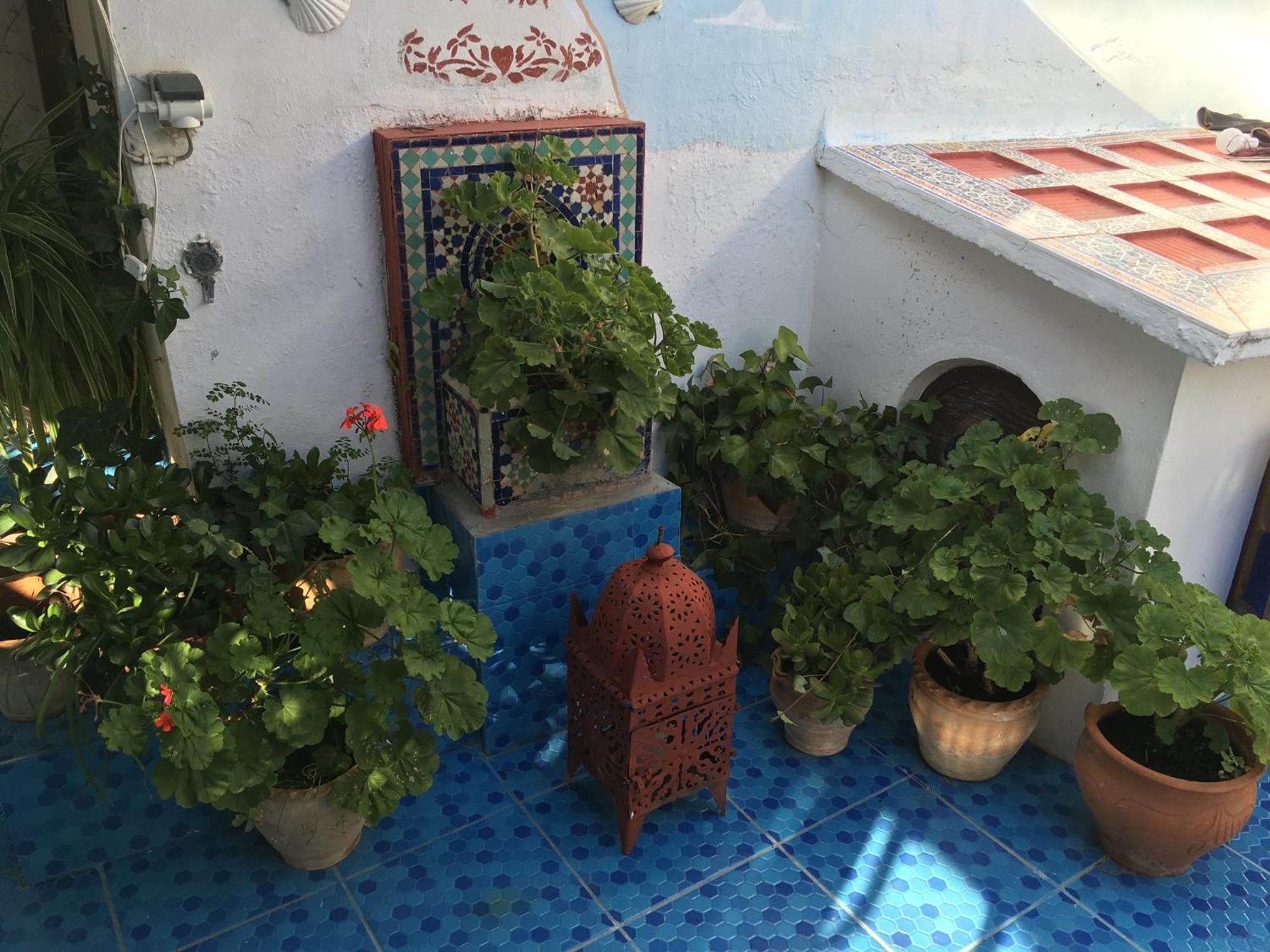 Hathor ,Casa Marroqui Con Dos Terrazas En La Medina Antigua , Ideal Parejas!! Wifi!! Asilah Exteriér fotografie